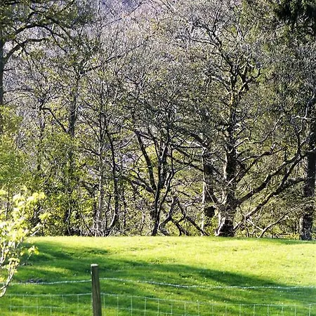 Shepherds Bridge B&B 4* Coniston